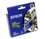 Mực in Epson T049190 Black Ink Cartridge